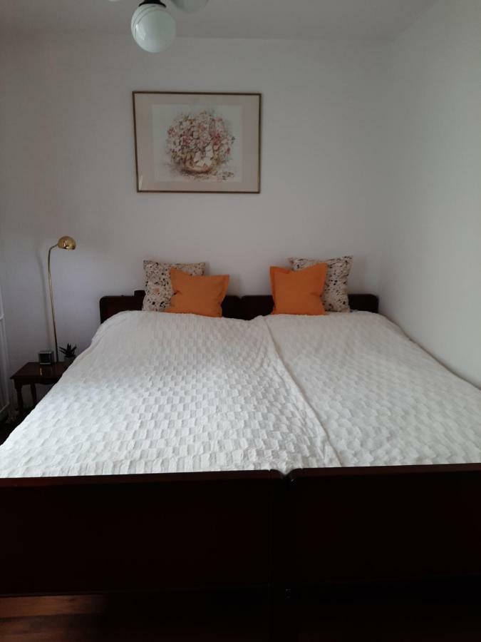 Appartement Apartament Piastowska à Kamienna Gora Extérieur photo